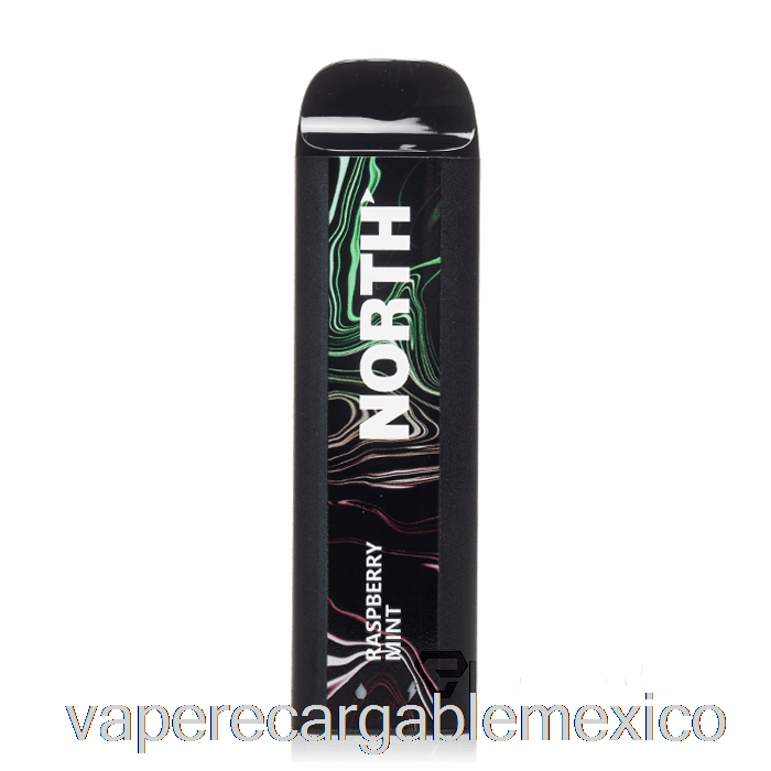 Vape Recargable North 5000 Desechable Frambuesa Menta